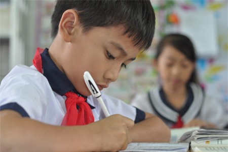 học sinh giỏi, trường học, học sinh, TP.HCM