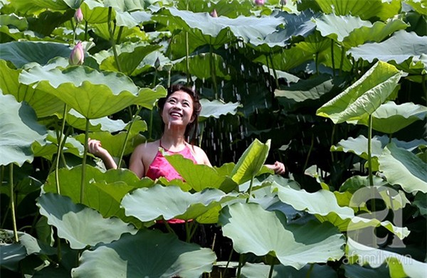 áo yếm lưng trần