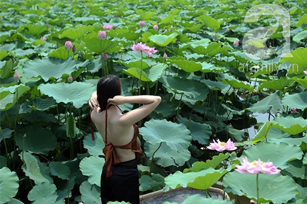 áo yếm lưng trần