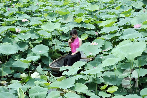 áo yếm lưng trần