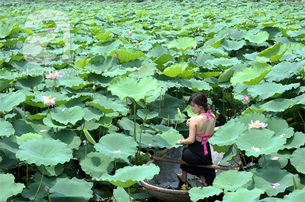 áo yếm lưng trần