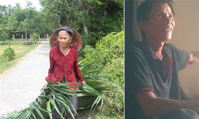 con đuổi, cụ bà, đánh đập, xin lá cọ, dựng lều