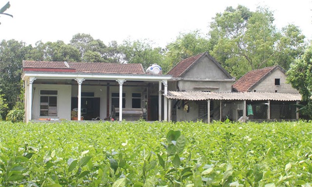 con đuổi, cụ bà, đánh đập, xin lá cọ, dựng lều