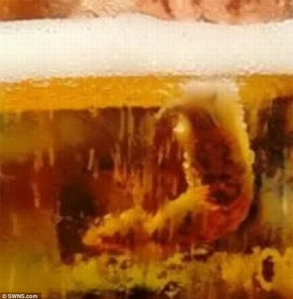 ghê rợn phát hiện sên trong rượu táo đang uống dở 0