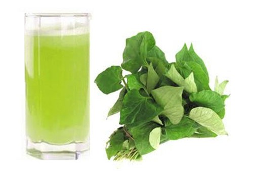 nước ép rau giải nhiệt mùa hè 1