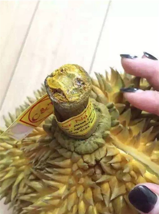 sầu riêng, trái cây, hoa quả, Thái Lan, bảo vệ người tiêu dùng, hoa quả nhập khẩu, sầu-riêng, trái-cây, hoa-quả, Thái-Lan, người-tiêu-dùng, hoa-quả-nhập-khẩu