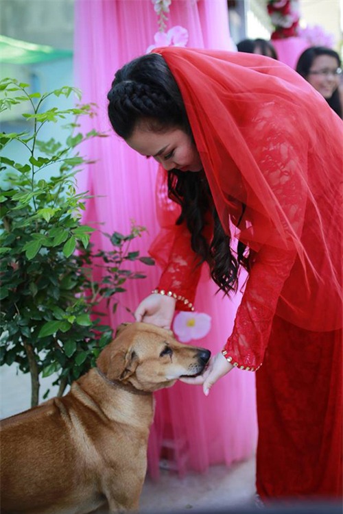 Chú chó khóc ướt mắt khi cô chủ “theo chồng về dinh” - 3