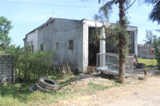 mẹ già, đau xót, kể chuyện, con trai, đạp ngã, Hà Tĩnh