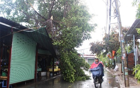 Hơn 30 căn nhà của người dân bị tốc mái, hư hỏng và hàng loạt cây xanh ngã đổ xuống đường.