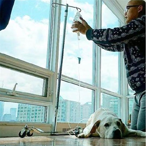 Kỳ lạ chú chó khỏi bệnh ung thư sau khi được đi du lịch khắp nước Mỹ - Ảnh 1