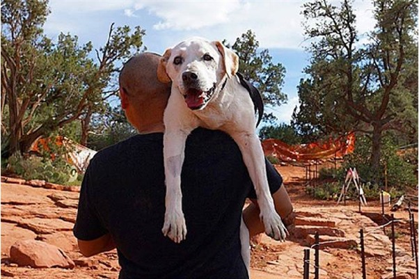 Kỳ lạ chú chó khỏi bệnh ung thư sau khi được đi du lịch khắp nước Mỹ - Ảnh 7