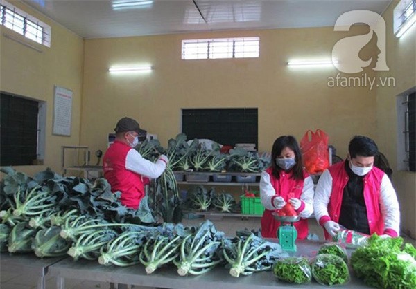 bỏ việc, trợ lý, quản lý, khách sạn, nông dân, rau sạch, bỏ-việc, trợ-lý, quản-lý, khách-sạn, nông-dân, rau-sạch