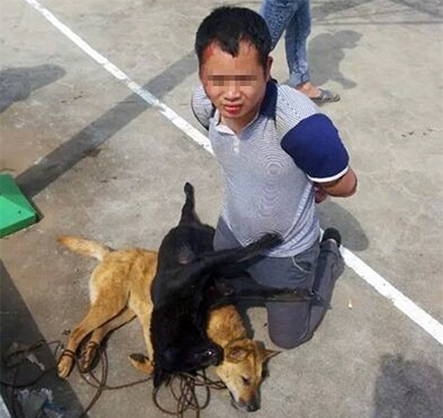 Dân làng Trung Quốc treo xác chó lên cổ kẻ trộm