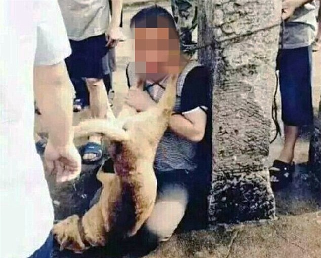 Dân làng Trung Quốc treo xác chó lên cổ kẻ trộm