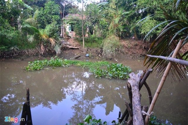 Con rạch Ba Cao trước nhà, nơi Ánh Viên tập bơi từ bé. Những tháng cuối năm, nước dâng lên rất cao tràn cả vào nhà.