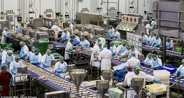 Cận cảnh nhà máy sản xuất sandwich lớn nhất nước Anh_1