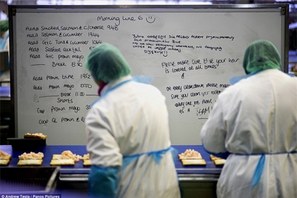 Cận cảnh nhà máy sản xuất sandwich lớn nhất nước Anh_10