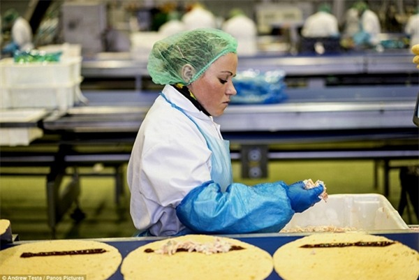 Cận cảnh nhà máy sản xuất sandwich lớn nhất nước Anh_13