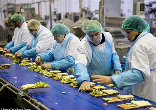 Cận cảnh nhà máy sản xuất sandwich lớn nhất nước Anh_2