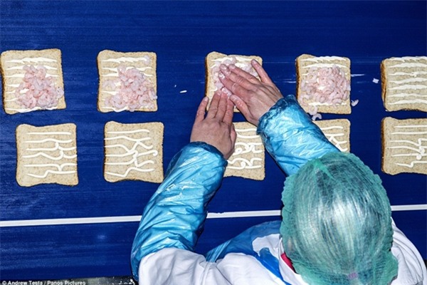 Cận cảnh nhà máy sản xuất sandwich lớn nhất nước Anh_3