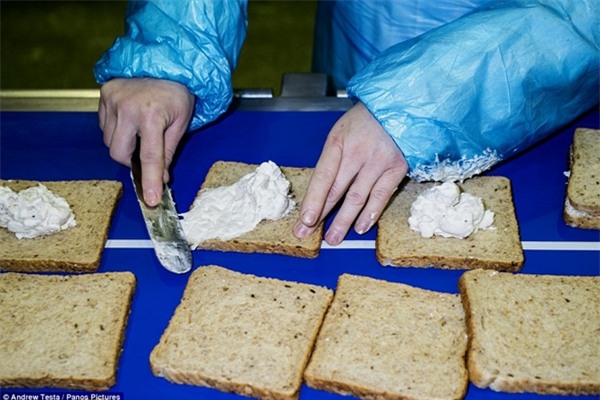 Cận cảnh nhà máy sản xuất sandwich lớn nhất nước Anh_4