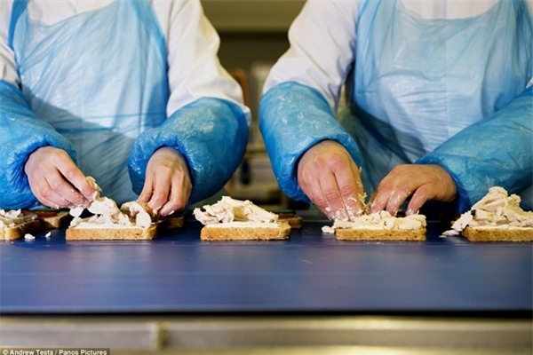 Cận cảnh nhà máy sản xuất sandwich lớn nhất nước Anh_6