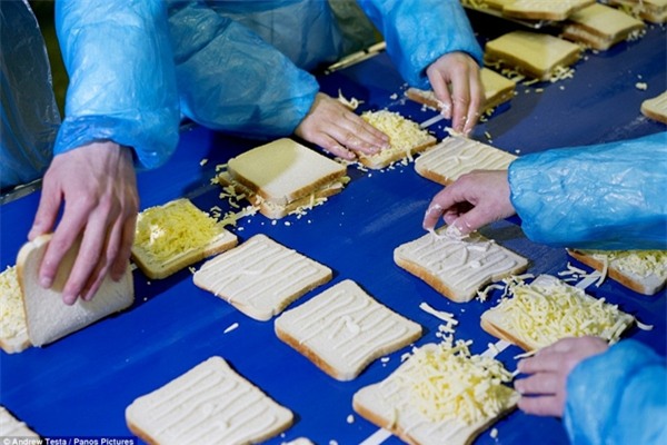 Cận cảnh nhà máy sản xuất sandwich lớn nhất nước Anh_9