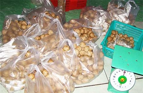 “Bò viên” thành phẩm chuẩn bị được mang phân phối . Ảnh:
TRẦN NGỌC