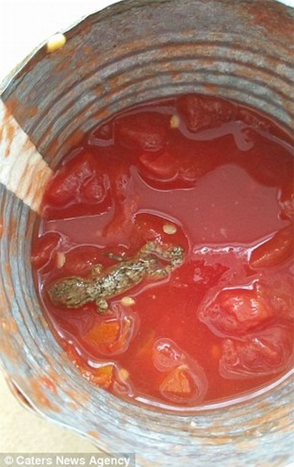 Phát hiện thằn lằn trong hộp sốt cà chua 2