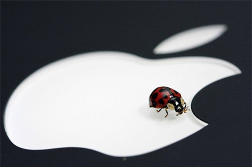 Apple, Mac, iPad, iPhone, bảo mật, Microsoft