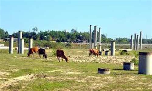 Thép, dự án, tỷ USD,  Guang Lian, Fomosa, Tata, Posco, Dung quất, Cà Ná, Hà Tĩnh, Ninh Thuận, Quảng Ngãi đầu tư, thành tích, tư duy, lãnh đạo, địa phương, kinh tế, sản xuất, công suất, cay đắng, tung hô; Dự-án, tỷ-USD, Guang-Lian, Fomosa, Tata, Posco, Du