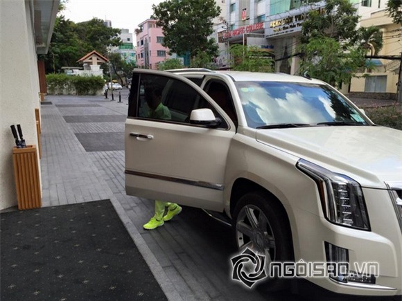 Mr Đàm cây xanh toàn tập 2