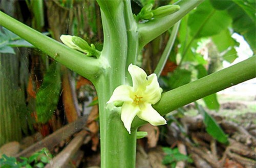 Những lợi ích