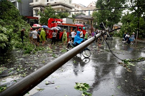 Hà Nội mưa lớn, gió giật cây bật gốc đè chết người - ảnh 10