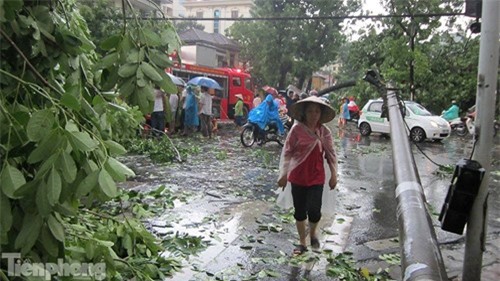 Hà Nội mưa lớn, gió giật cây bật gốc đè chết người - ảnh 23