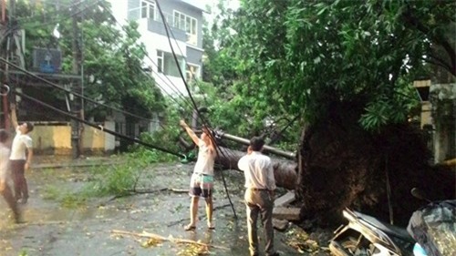 Hà Nội mưa lớn, gió giật cây bật gốc đè chết người - ảnh 29