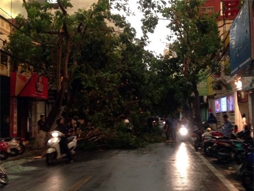 Hà Nội mưa lớn, gió giật cây bật gốc đè chết người - ảnh 42