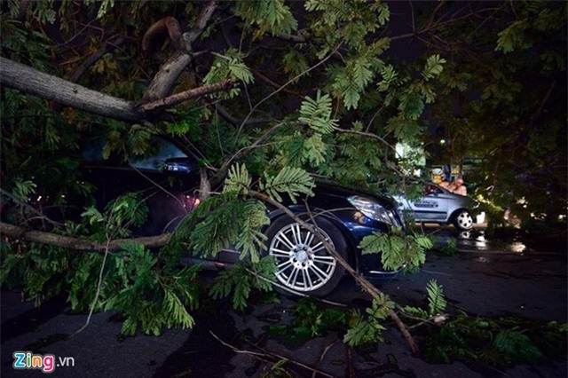 Hai người chết, hơn 10 người nhập viện vì dông lớn
