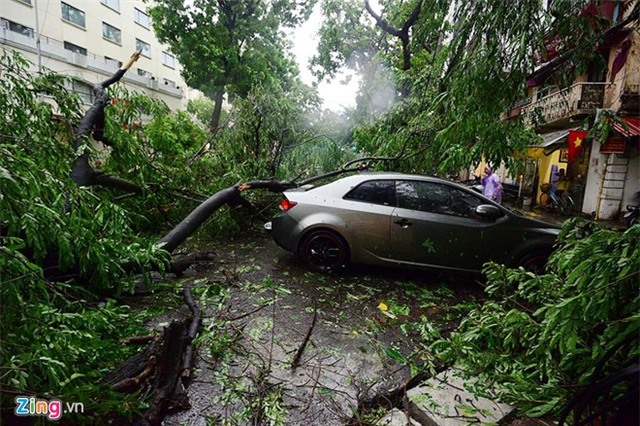 Hai người chết, hơn 10 người nhập viện vì dông lớn
