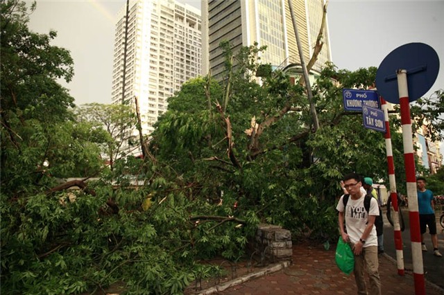 chiều tối nay, mưa dông, đề phòng, tố lốc, Hà Nội