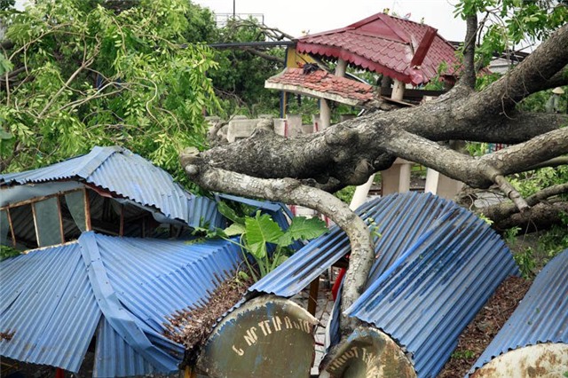 Hà Nội, cảnh báo có dông, gió mạnh, nhiệt độ