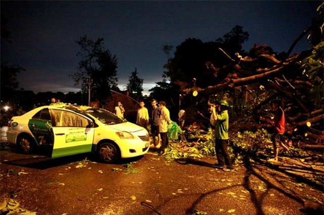 Hiện trường vụ đổ cây tại ngã tư Quang Trung – Nguyễn Du khiến 1 người tử vong. Ảnh: Nhị Tiến