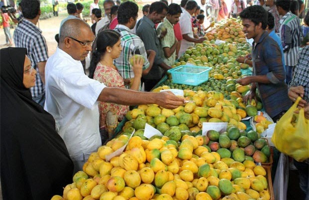 trái cây, xoài chín, thúc chín, hóa chất, hoa quả, làm chín, trái-cây, xoài-chín, thúc-chín, hóa-chất, hoa-quả, làm-chín,