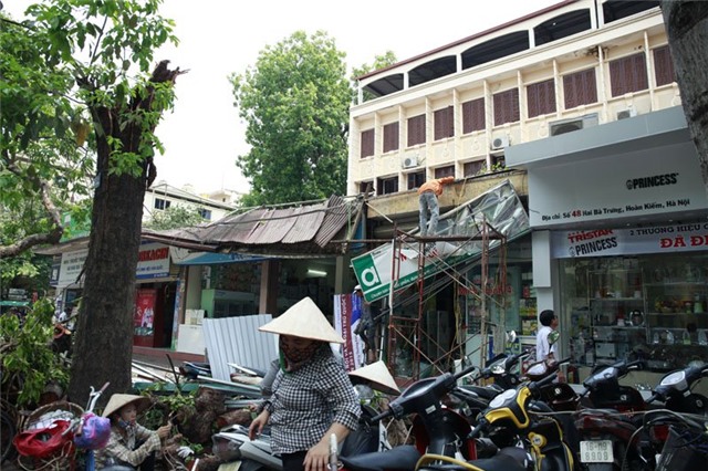 mưa dông; gió giật; cây đổ; hà nội