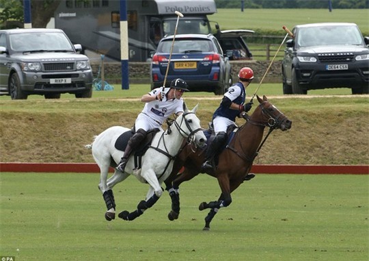 “Hoàng tử bé” ngộ nghĩnh ở sân chơi Polo