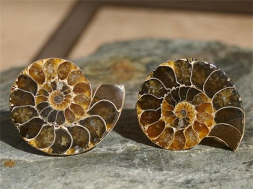 Chọn đá phong thủy phù hợp với mệnh - 8