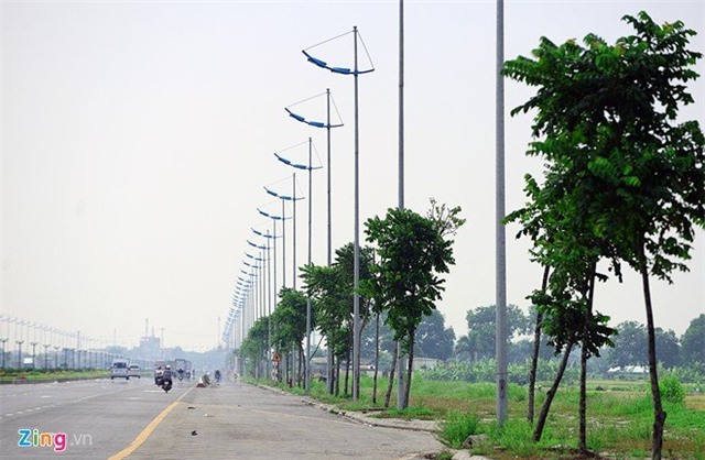 Cây chết, hàng loạt, tuyến đường 6.600 tỷ, Hà Nội
