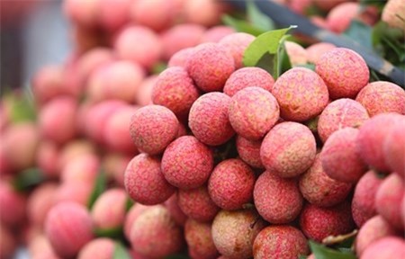 Trai vai Viet sang Phap: 240.000 dong/kg van dat hang