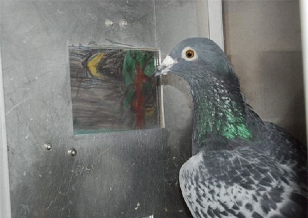 5+1 nghiên cứu khoa học khiến bạn té ngửa vì độ “quái gở”