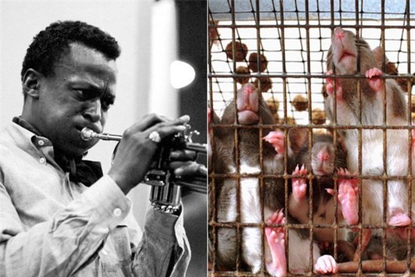 5+1 nghiên cứu khoa học khiến bạn té ngửa vì độ “quái gở”